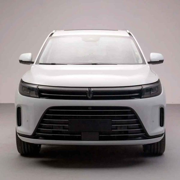 AITO M7 2022 1.5T Comfort RWD Edition Front Elevation