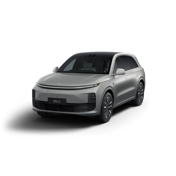 LI L6 2024 Pro Silver