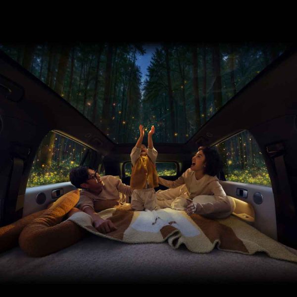 LI L6 2024 Pro gallery Panoramic canopy