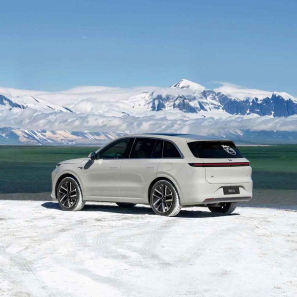 LI L6 2024 Pro gallery snow
