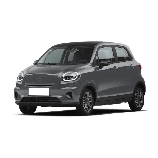 Leapmotor T03 2022 Bright Jade Edition Magnetic Grey